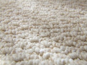 Carpet Repair Scottsdale 300x225