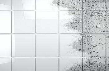 Carpet And Grout Cleaning