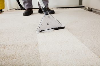 Carpet Cleaning Company