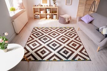 Steam Clean Area Rug Steam Clean Area Rug