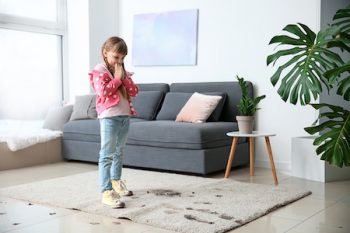 benefits of regular carpet cleaning scottsdale az