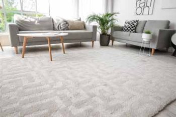 Carpet Repair Scottsdale