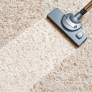 Carpet Cleaning