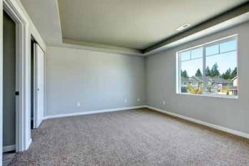 Carpet Services Scottsdale