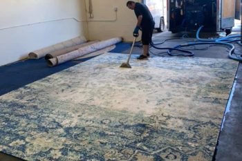 Area Rug Cleaning Mesa