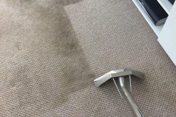 Carpet Cleaning Company Mesa