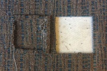 Carpet Repair Gilbert