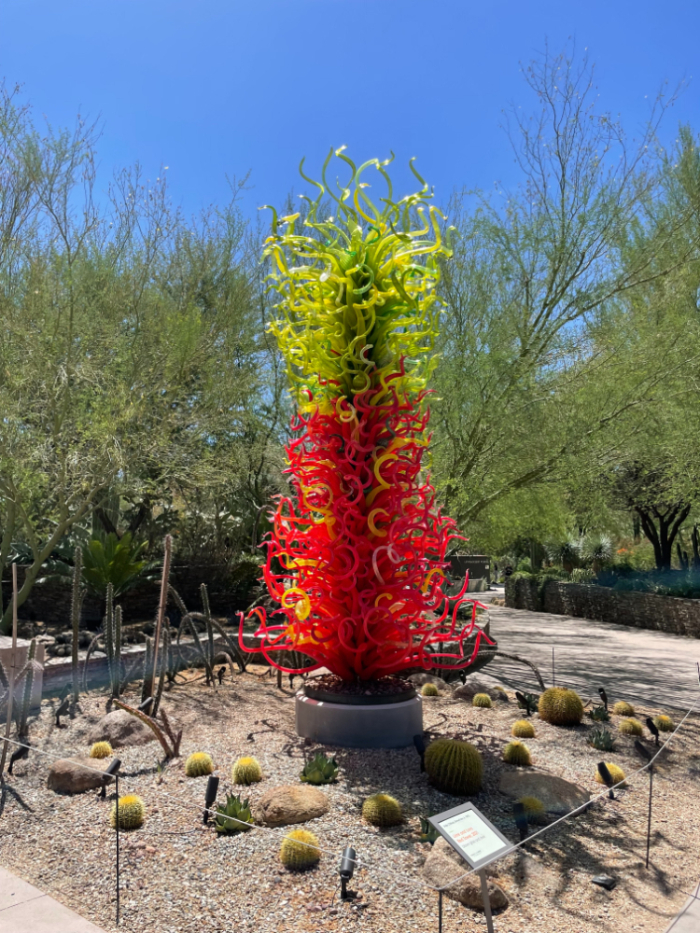 Desert Botanical Garden