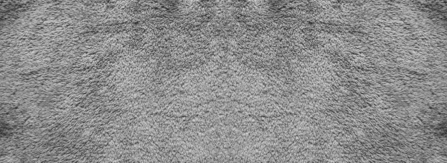 Signs It May Be Time to Replace Your Carpets Magic Touch Carpet