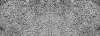 Carpet Replacement Gilbert