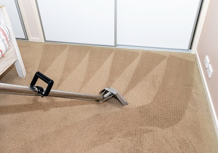 Professional Carpet Cleaning Mesa