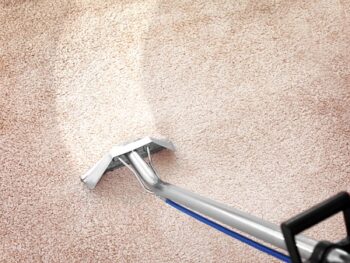 Removing Dirt From Carpet With Professional Vacuum Cleaner Indoors