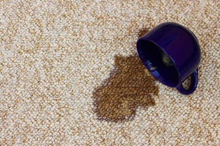 How to Get Stains Out of Carpet Scottsdale