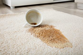 Cleaning Area Rugs